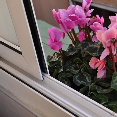 Panzió Vesuvio Ruins Pompeji